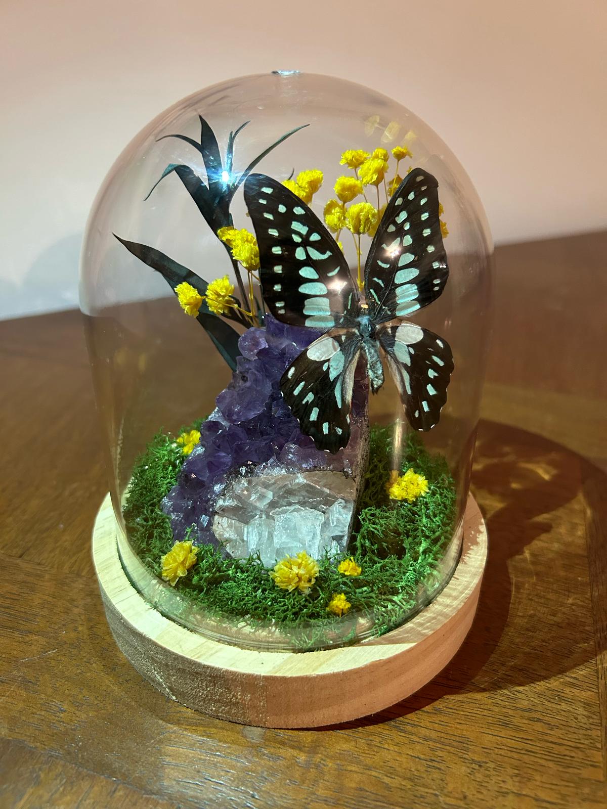 Cloche papillon cristal