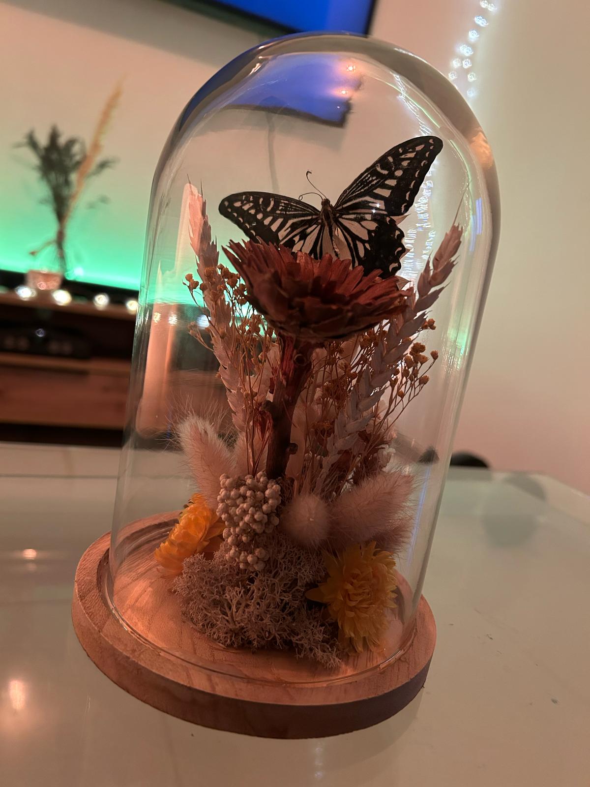 Cloche papillon avec fleurs séchées