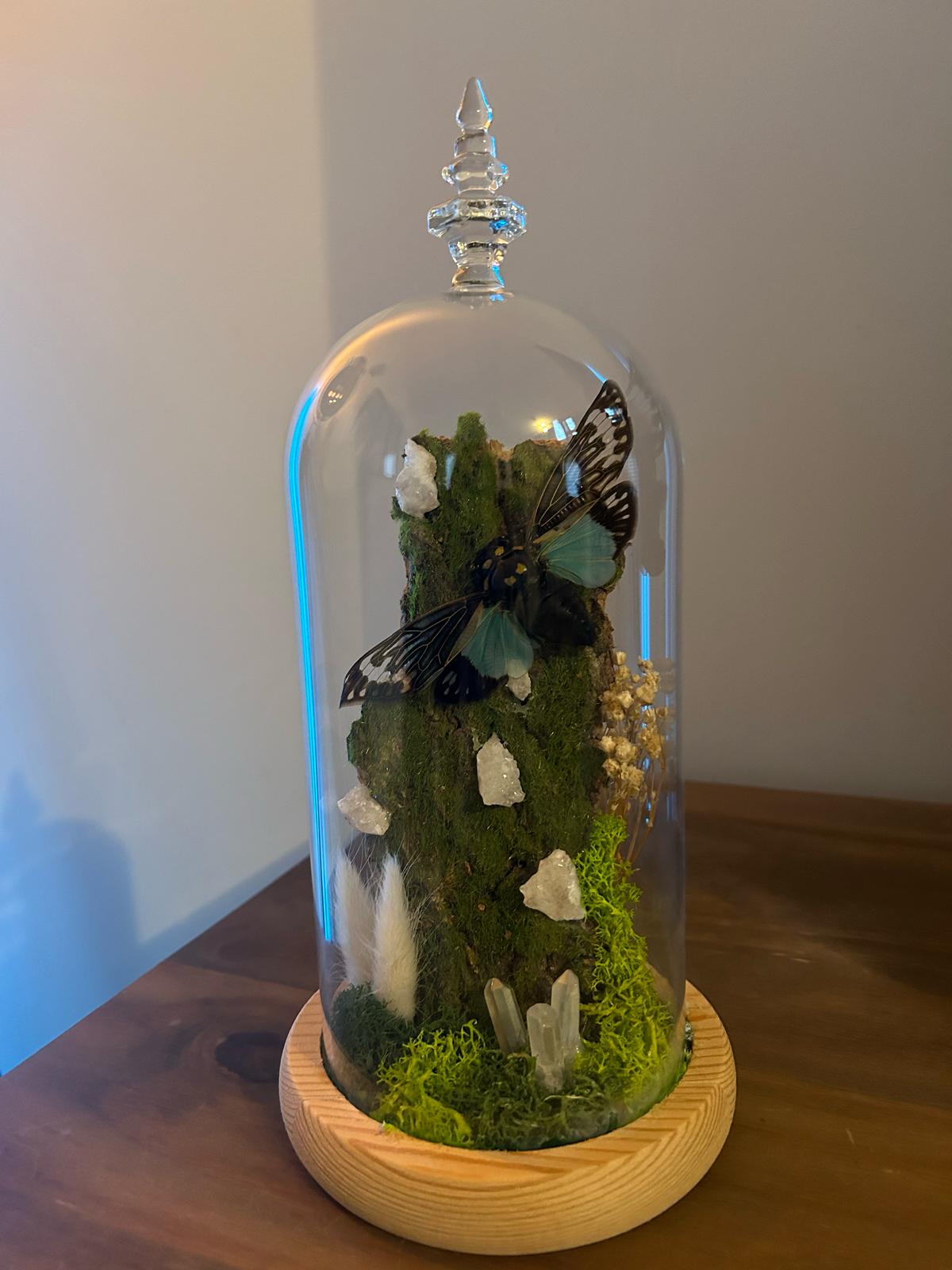 Cloche avec papillons