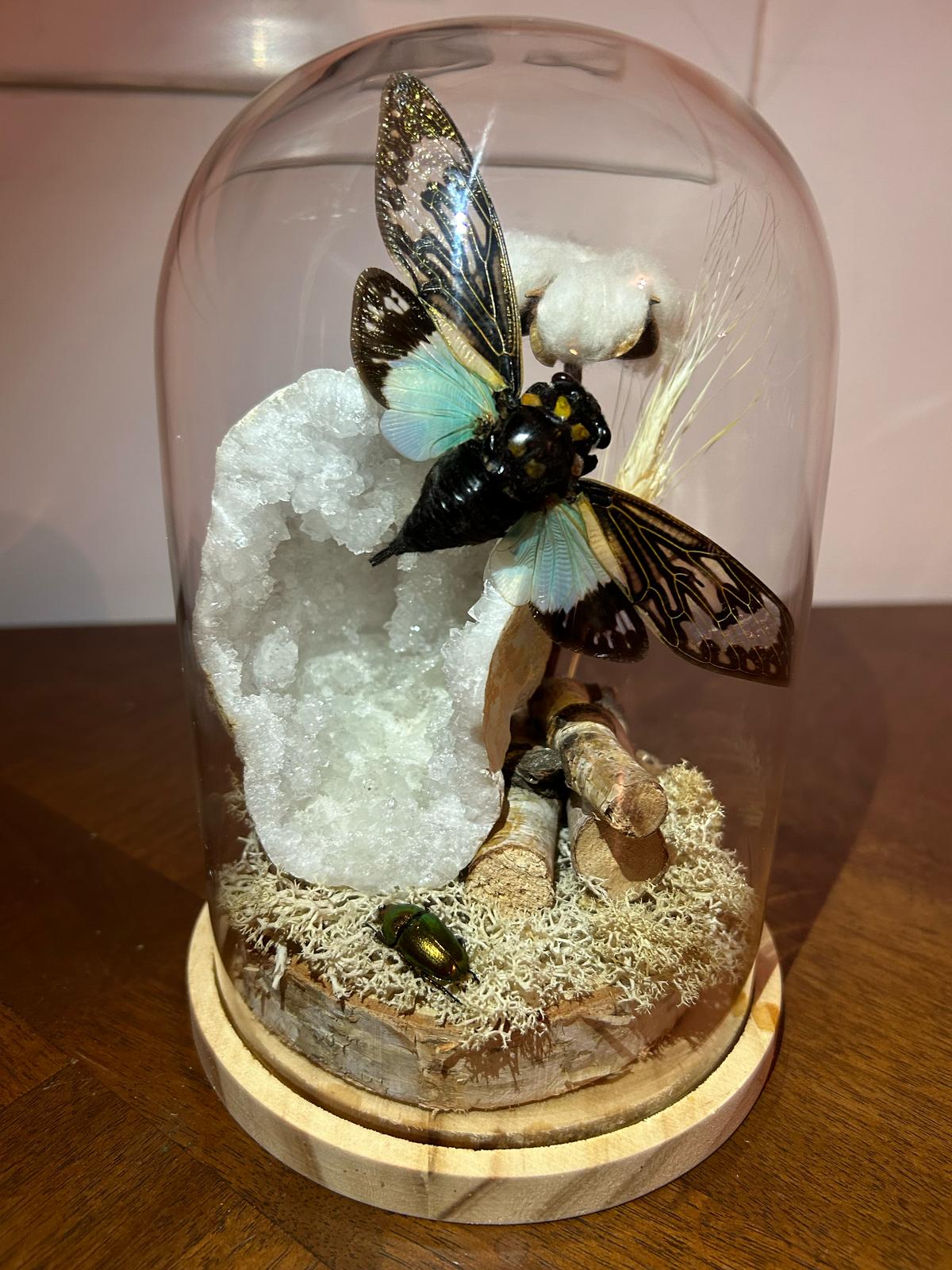 Cloche avec minéraux